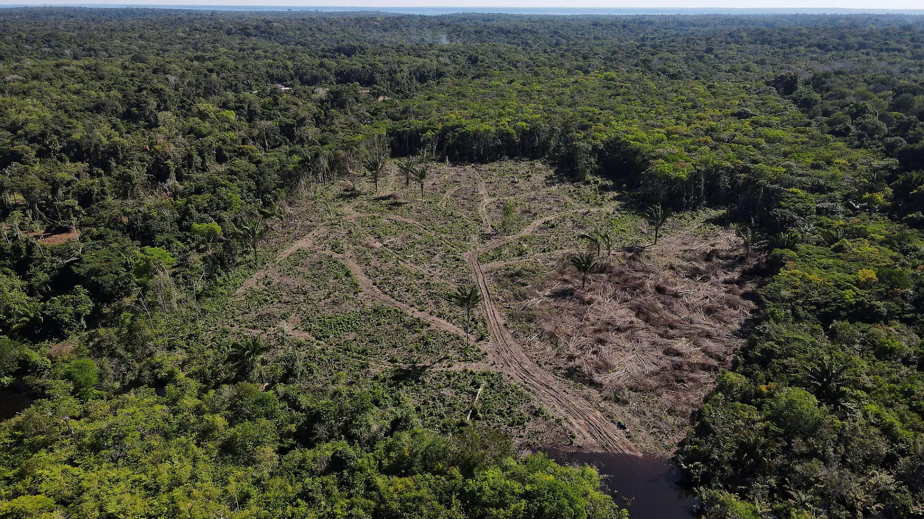 Amazonía registra en agosto el mayor número de incendios en más de una década